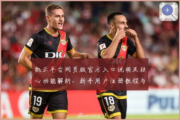 凯云平台网页版官方入口说明及核心功能解析，新手用户注册教程与操作体验全指南